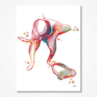 Product listing image with the ear ossicles print on paper 