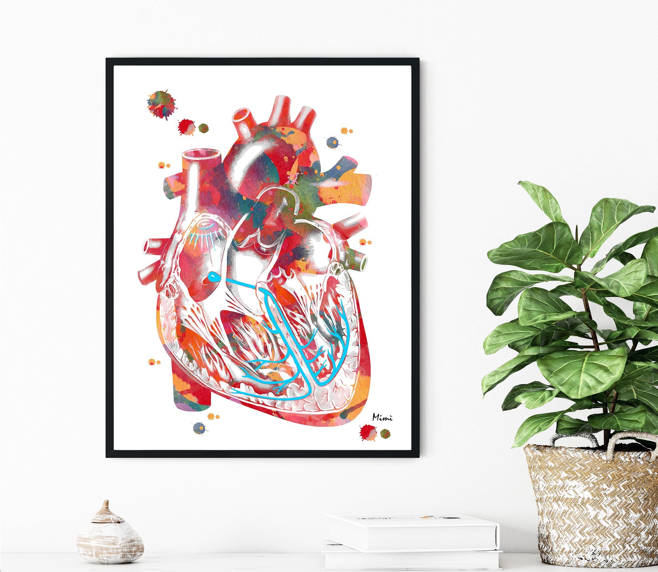 Colorful anatomical heart print in a black frame on a white wall with a plant to the right.