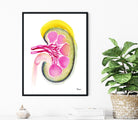 Human Kidney Section Watercolor Print Image 1