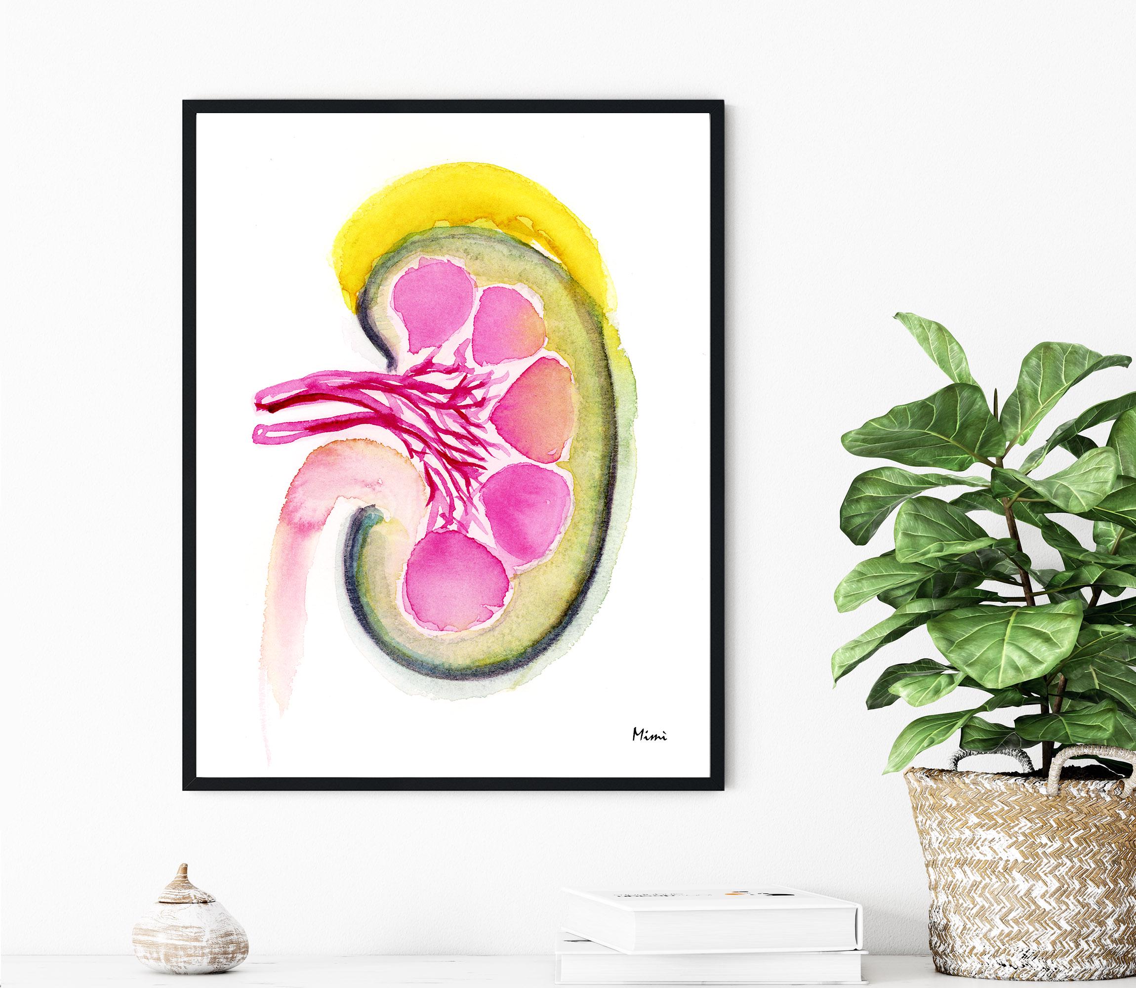 Human Kidney Section Watercolor Print Image 1