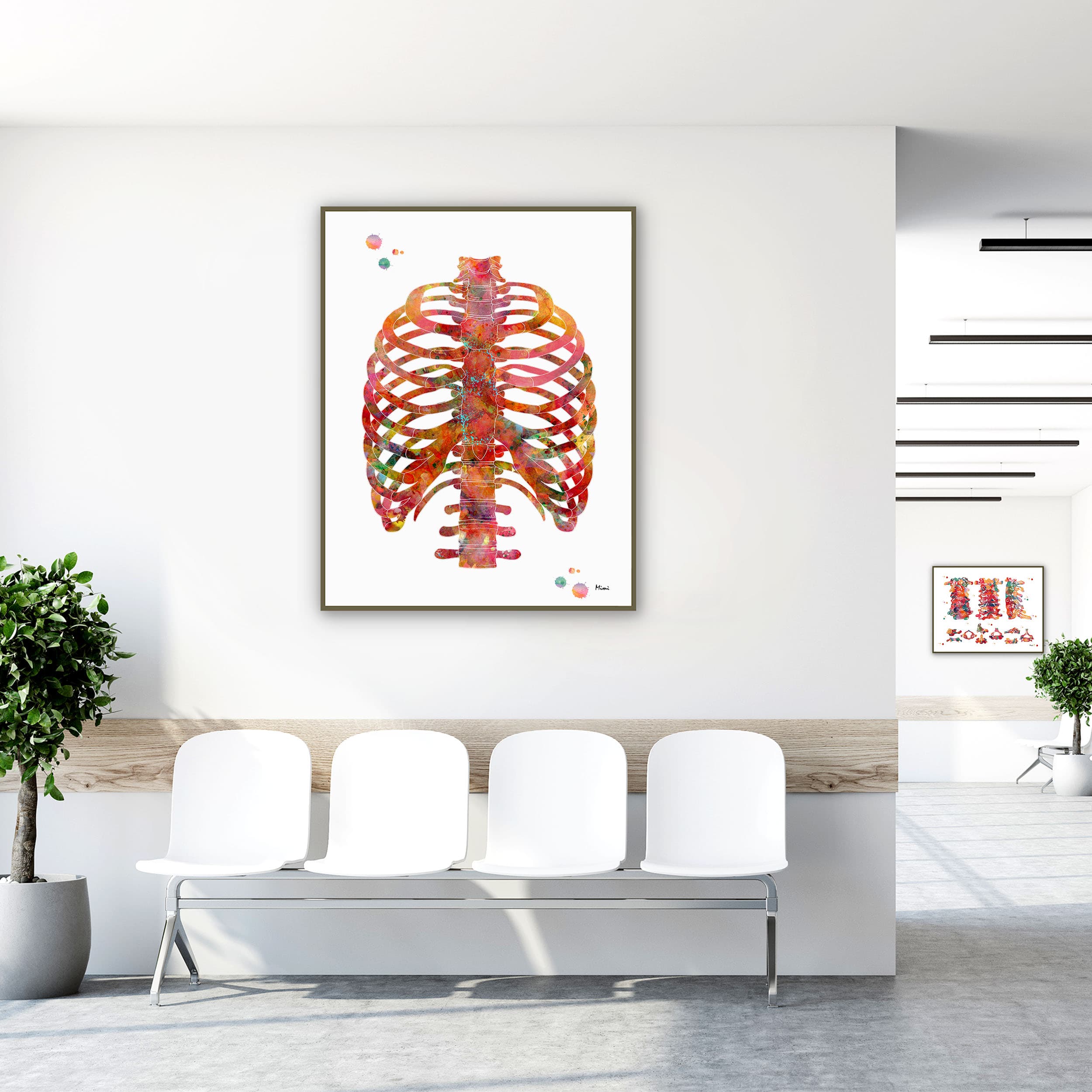 Framed human rib cage anatomy watercolor print in a clinic waiting room