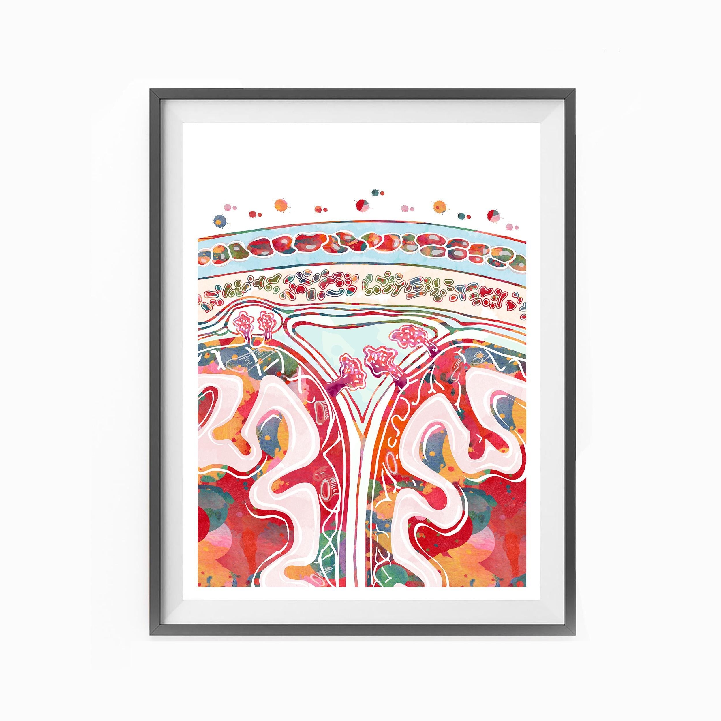 Meningeal Layers Of The Brain image 2