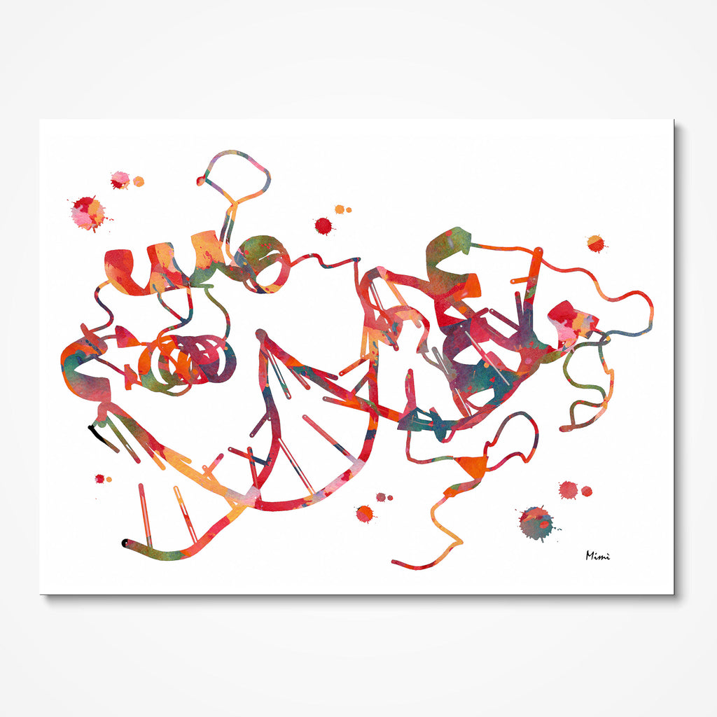 Retinoic Acid Gamma Protein RARG Watercolor Print