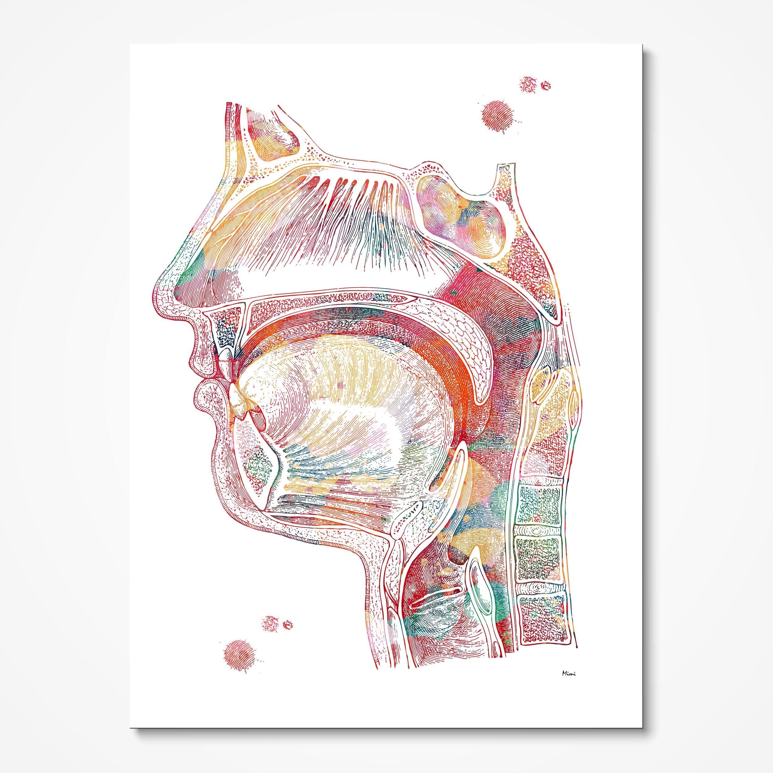Respiratory System 3 Prints Air Pathway Image
