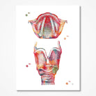 Respiratory System 3 Prints Set Larynx Image