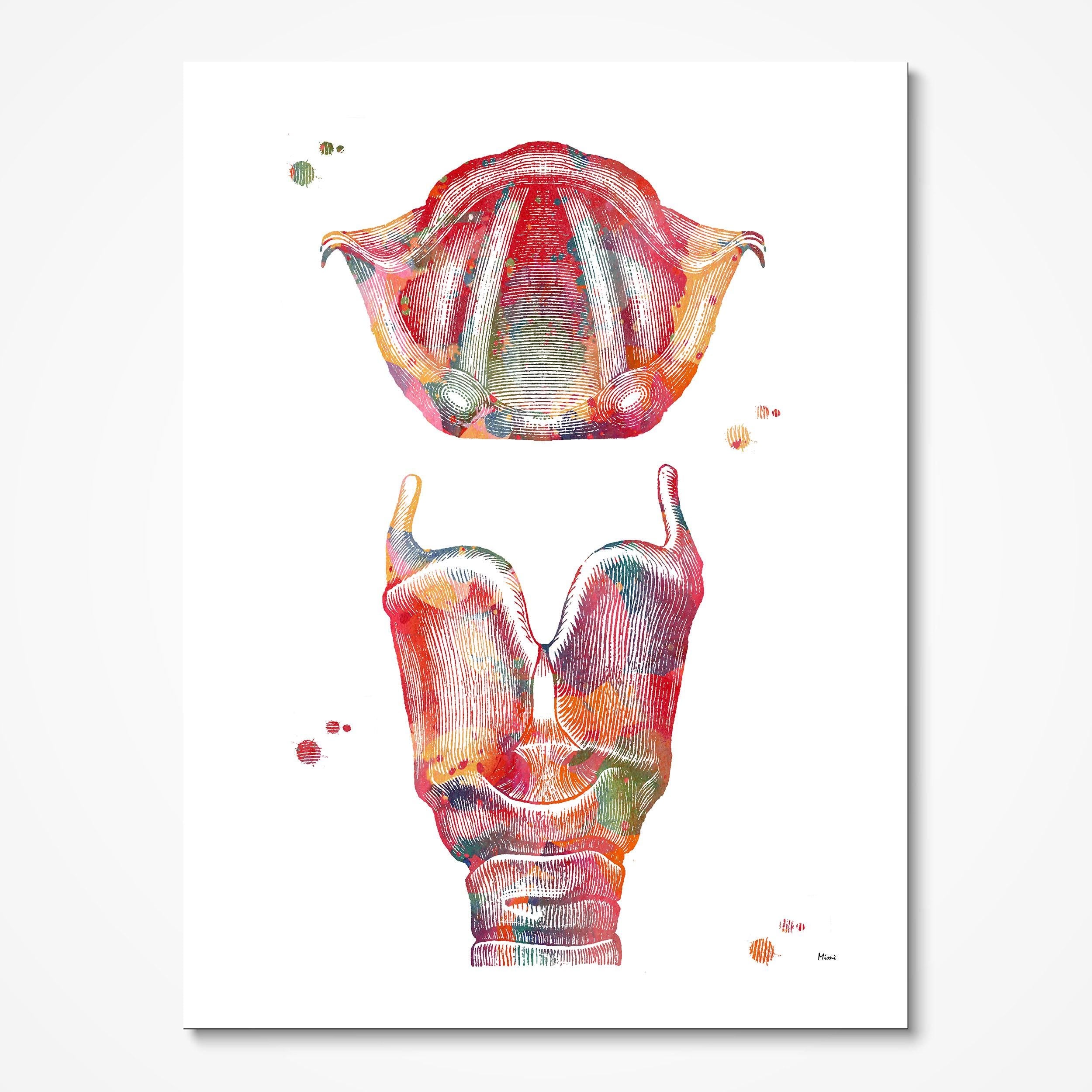 Respiratory System 3 Prints Set Larynx Image