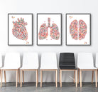 Set Of 3 Anatomy Posters Heart, Lungs, Brain 1