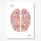 Set Of 3 Anatomy Posters Heart, Lungs, Brain 3