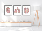 Set Of 3 Anatomy Posters Heart, Lungs, Brain 4
