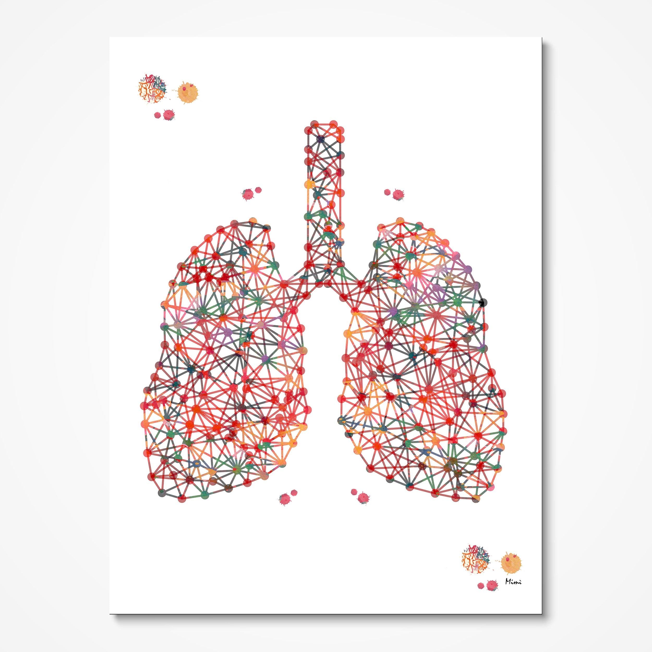 Set Of 3 Anatomy Posters Heart, Lungs, Brain 6