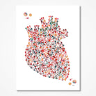 Set Of 3 Anatomy Posters Heart, Lungs, Brain 7