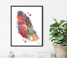 Colorful abstract anatomy print of the human thyroid in a black frame on a white wall.