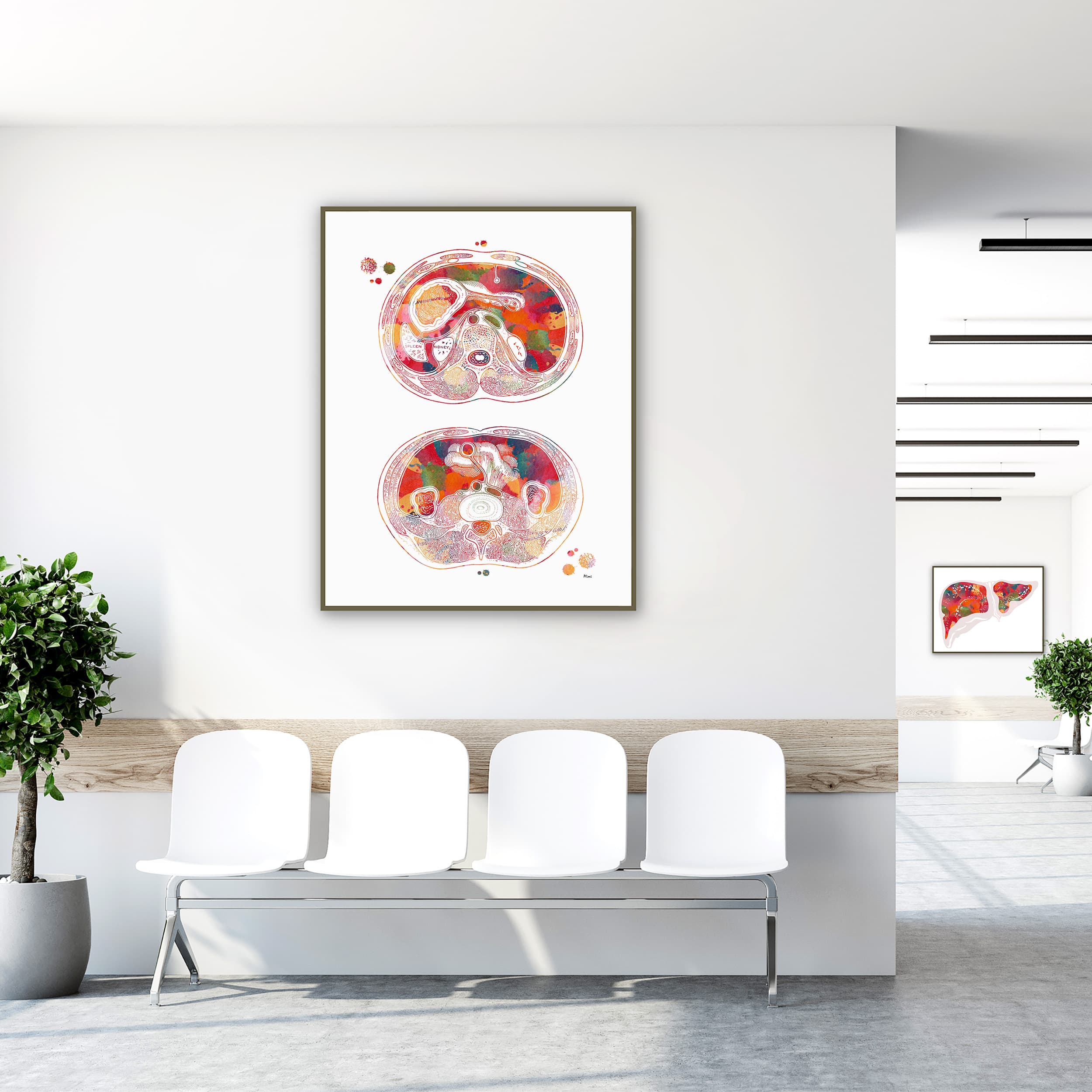 Framed abdomen cross-section watercolor print in a clinic waiting room