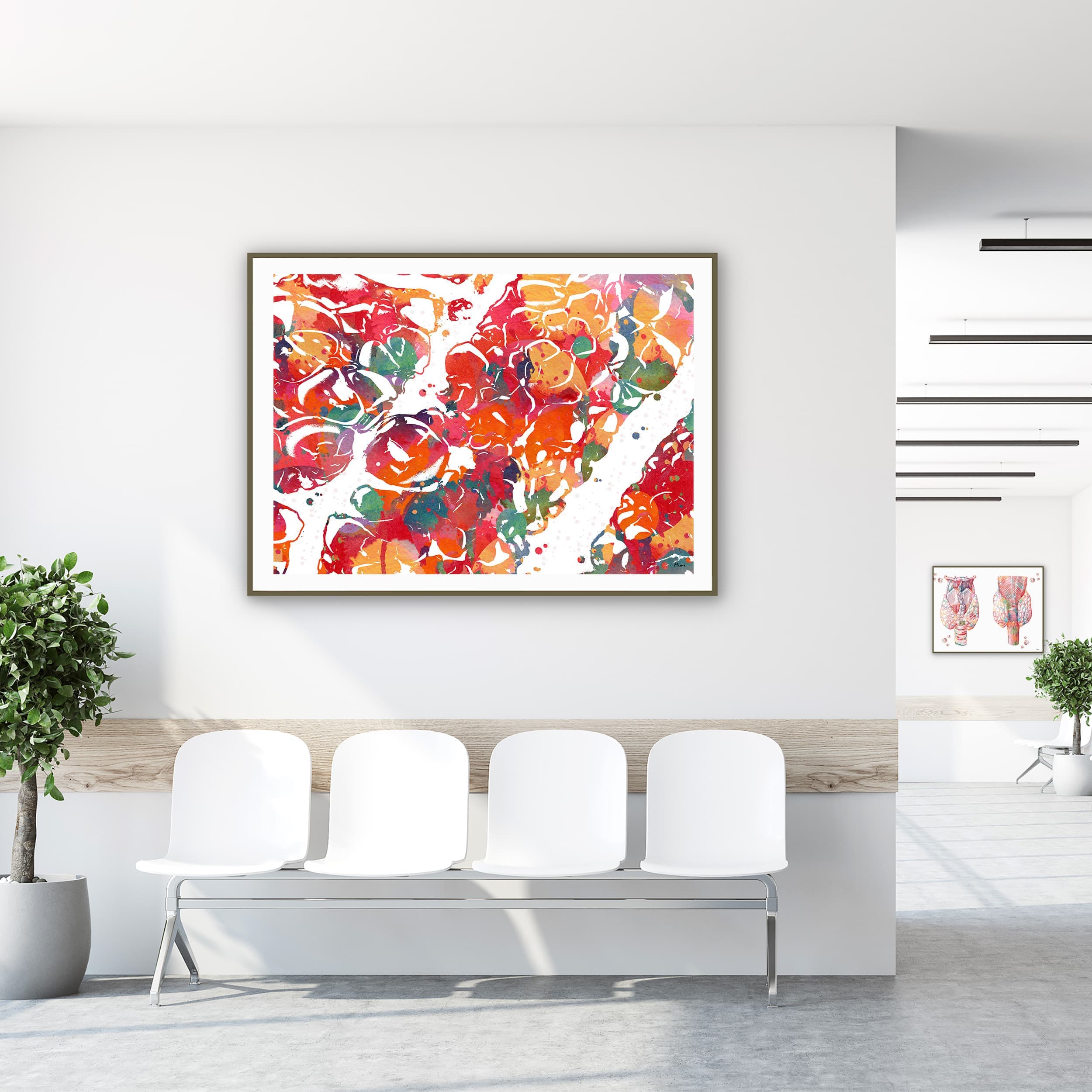 Framed adrenal histology watercolor print in a clinic waiting room