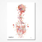 anatomy prints set sample image 1