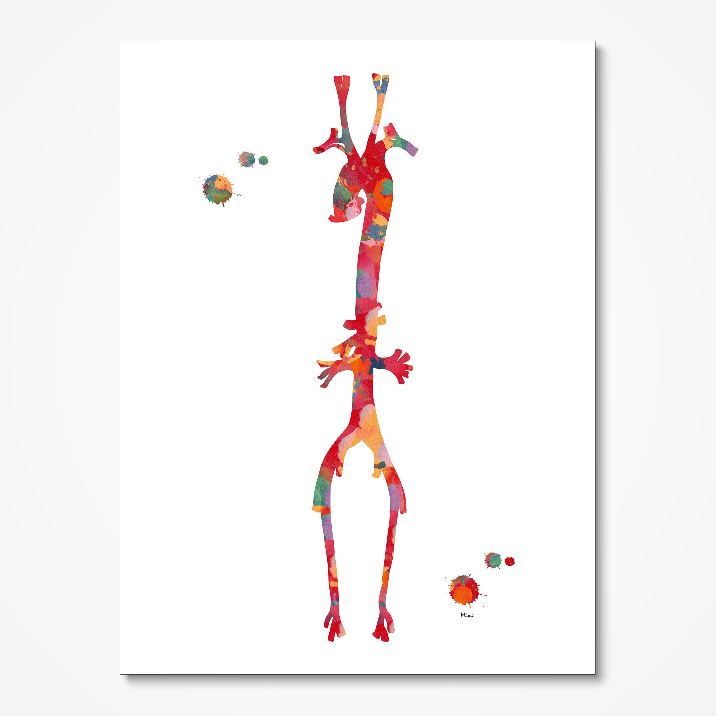 Aorta anatomy watercolor art print for angiology clinic wall decor