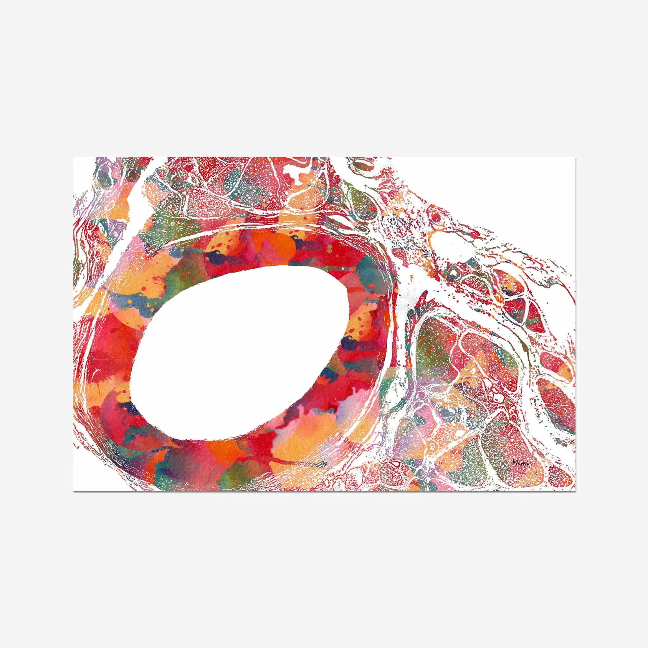 Aorta cross-section histology watercolor art print for vascular clinic wall decor
