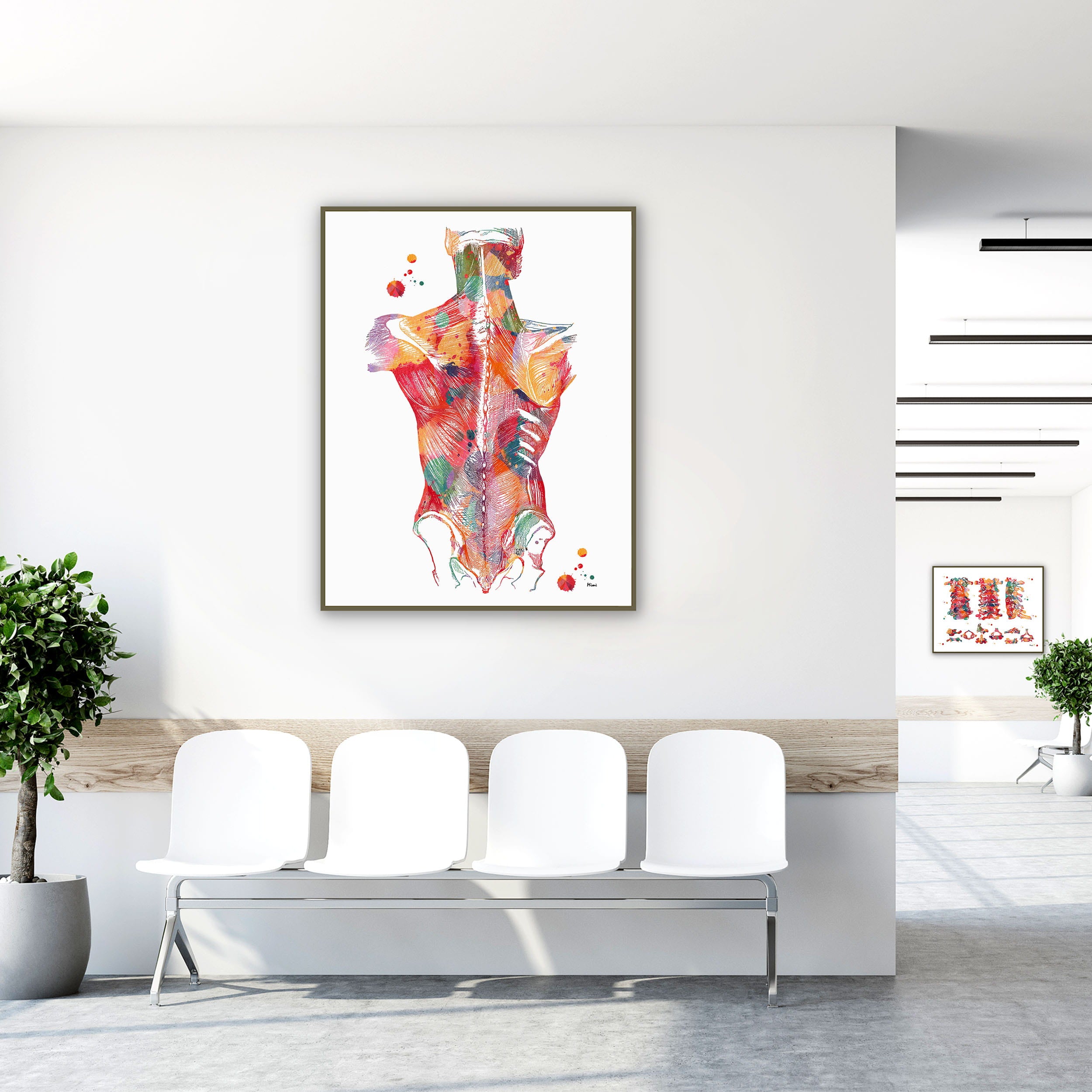 Framed back muscles anatomy watercolor print in a clinic waiting room