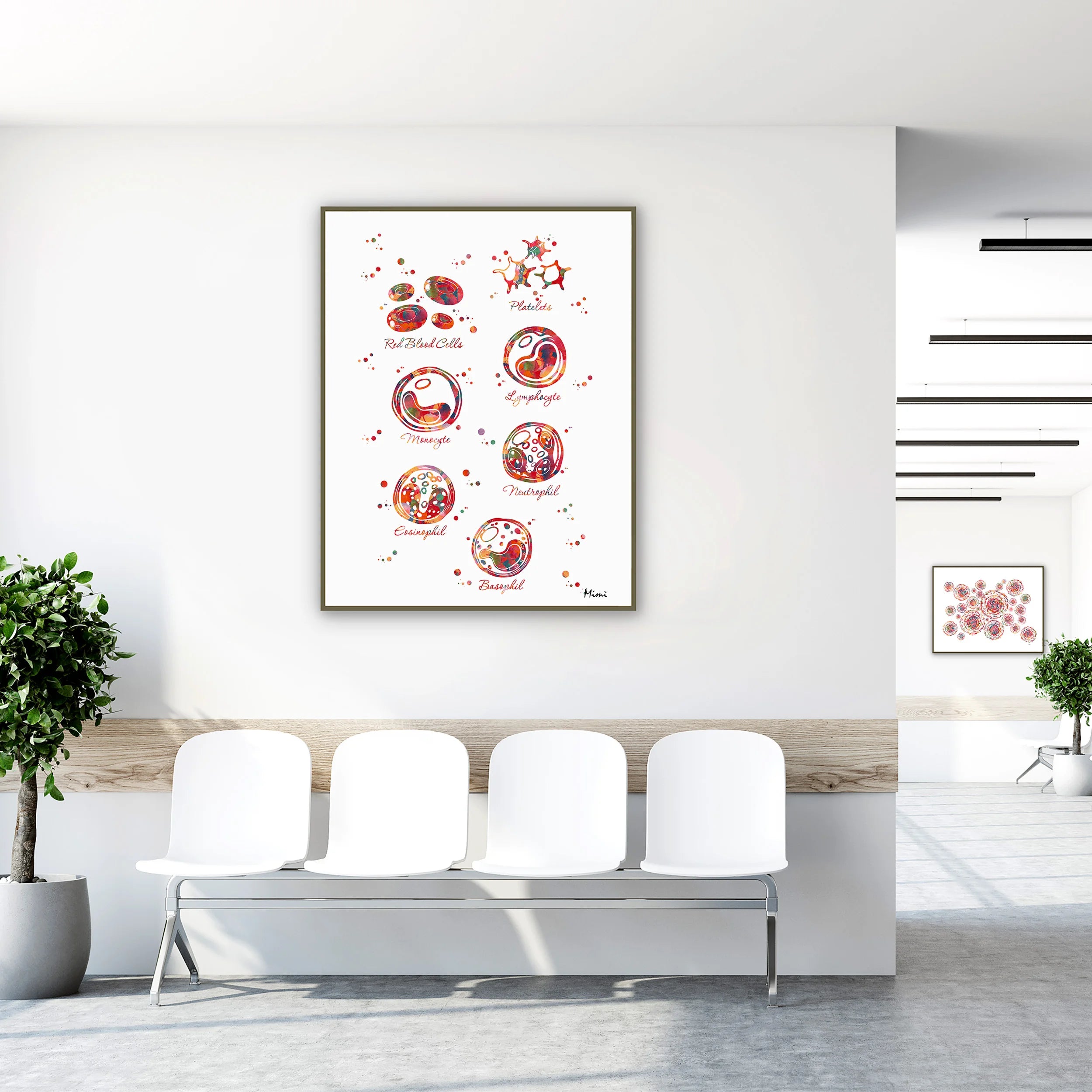 Framed blood cells anatomy watercolor print in a clinic waiting room