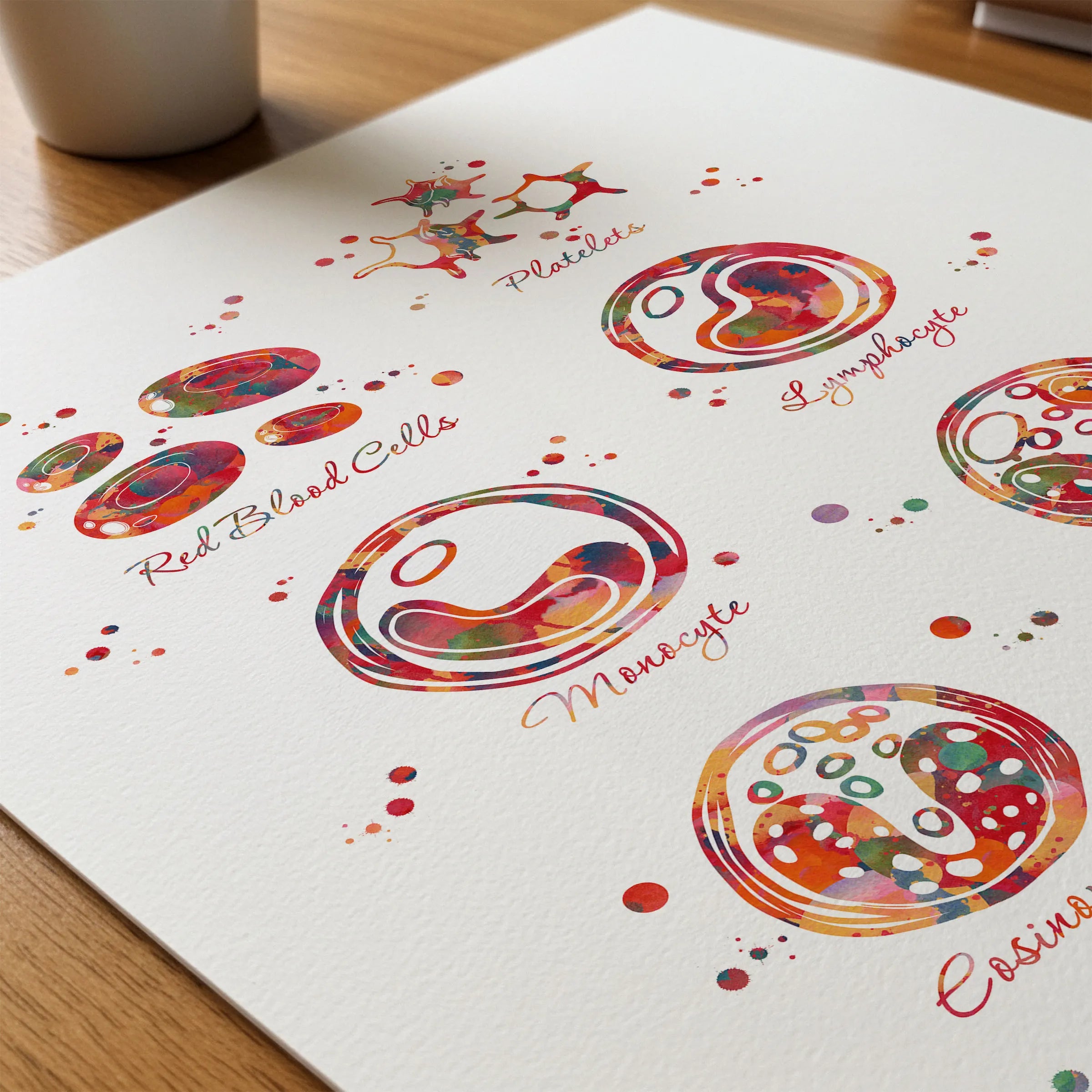 Close-up of blood cells anatomy watercolor print showing paper texture and grain