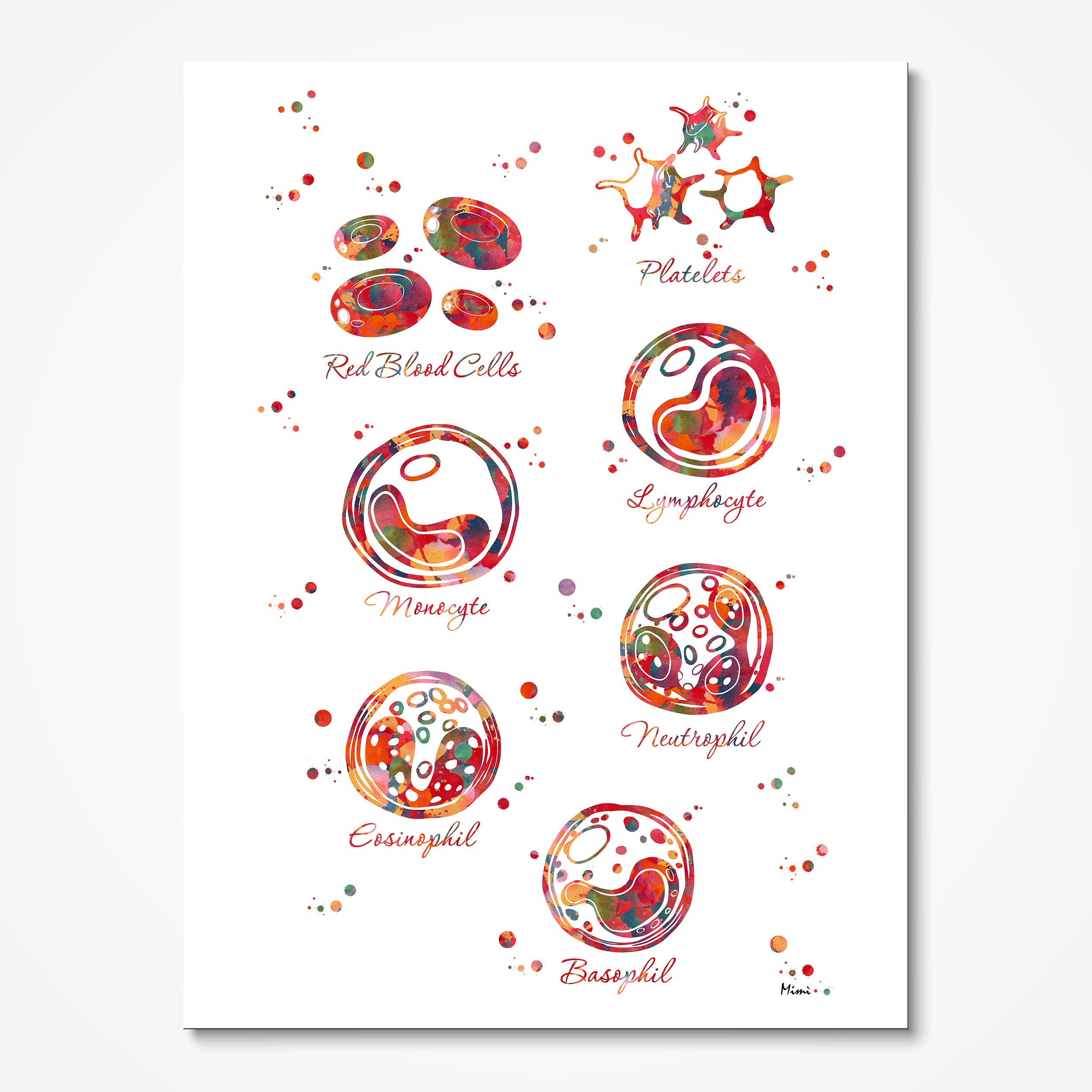 Cells Anatomy watercolor art print for hematology lab wall decor