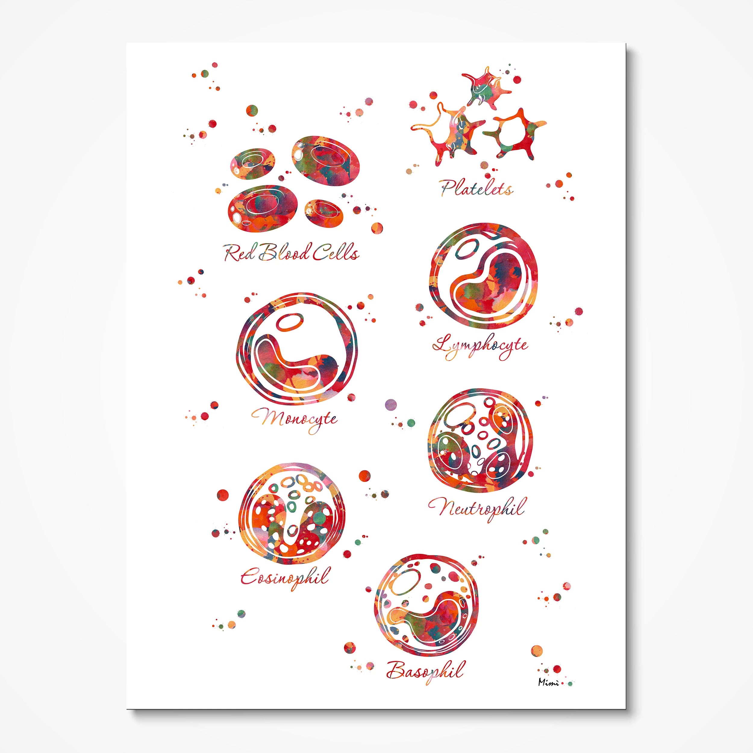 Blood Cells Anatomy watercolor art print for hematology lab wall decor