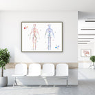 Framed body systems arteries and veins watercolor print in a clinic waiting room