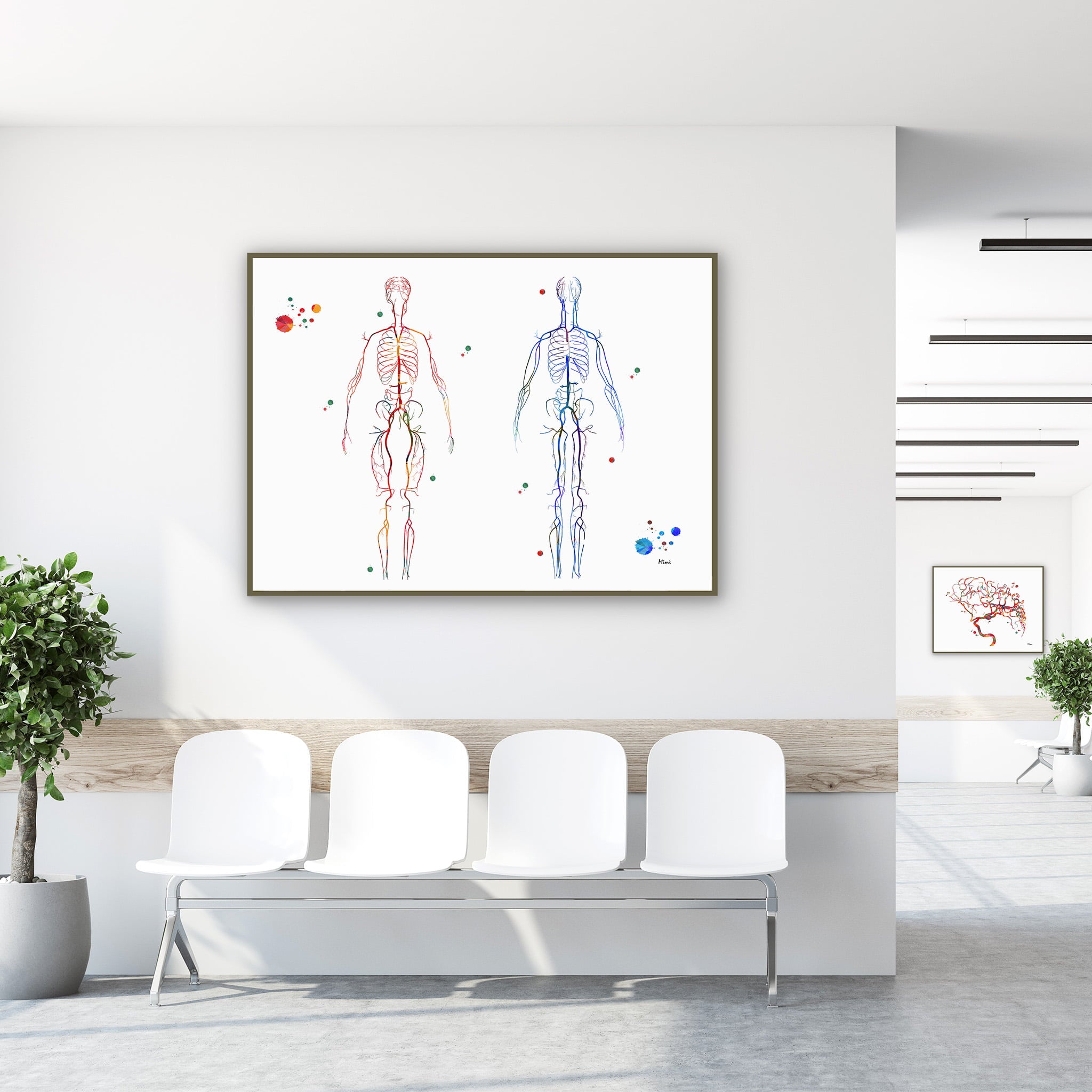 Framed body systems arteries and veins watercolor print in a clinic waiting room
