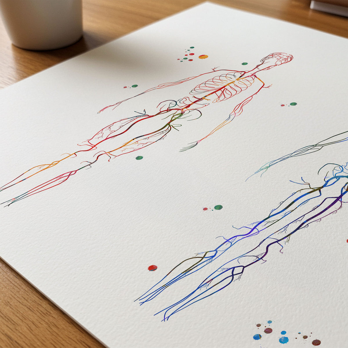 Close-up of body systems arteries and veins watercolor print showing paper texture and grain