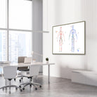 Framed body systems arteries and veins watercolor print in a vascular clinic