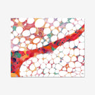 Bone Marrow Histology watercolor art print for hematology lab wall decor