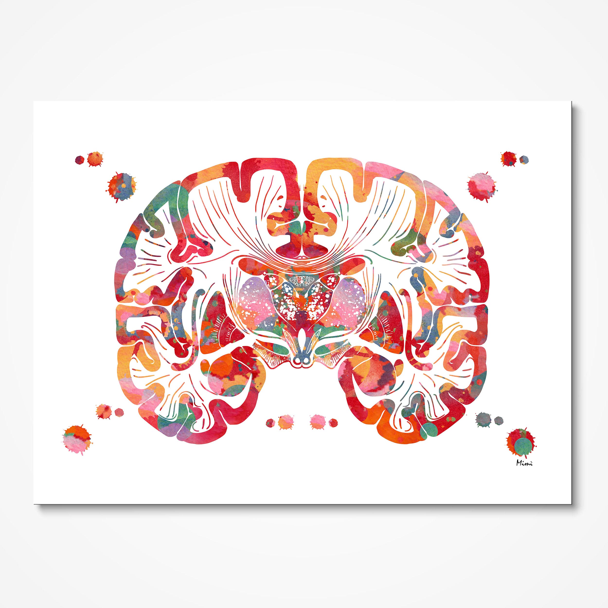 Brain Coronal Section Anatomy watercolor art print for neurology clinic wall decor