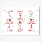 Brain Pyramidal Cells watercolor art print for Neuroscience Lab wall decor