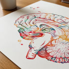 Close-up of brain sagittal section anatomy watercolor print showing paper texture and grain