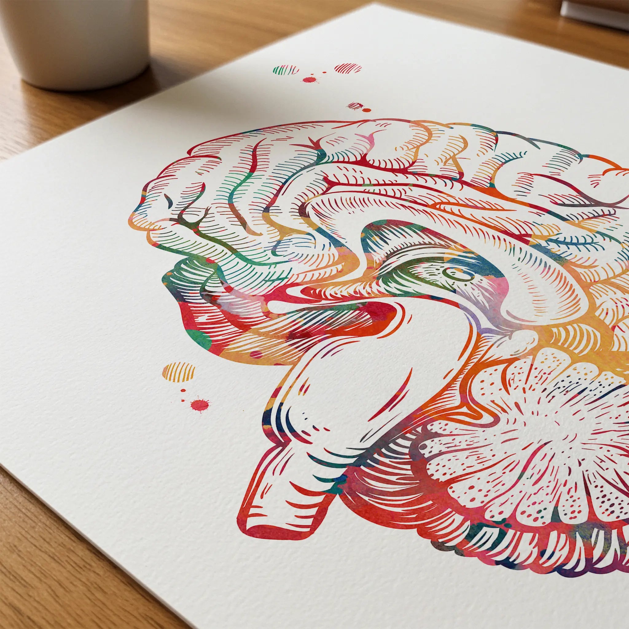Close-up of brain sagittal section anatomy watercolor print showing paper texture and grain