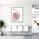 Framed breast & mammary gland anatomy watercolor print in a clinic waiting room