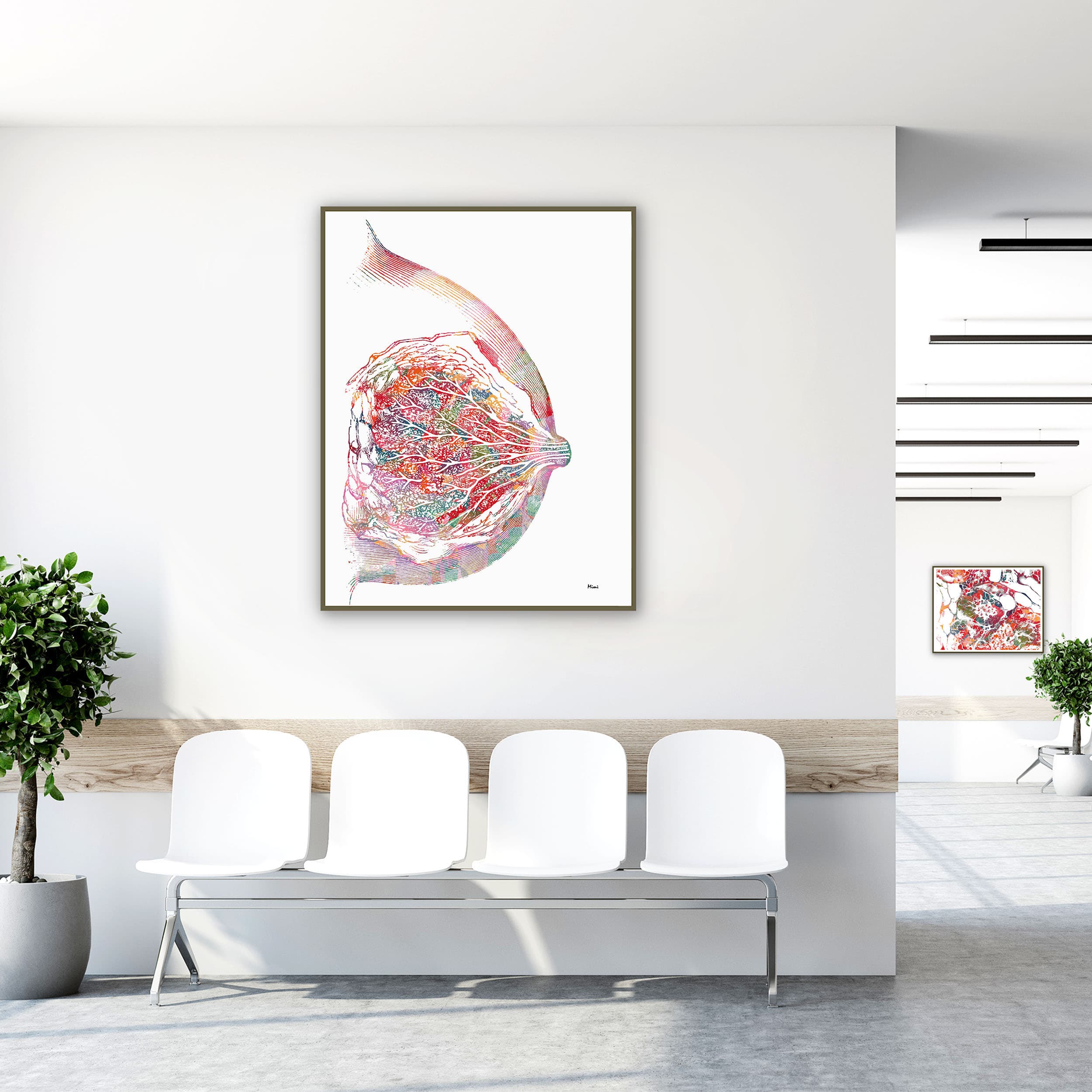 Framed breast & mammary gland anatomy watercolor print in a clinic waiting room
