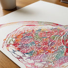 Close-up of breast & mammary gland anatomy watercolor print showing paper texture and grain