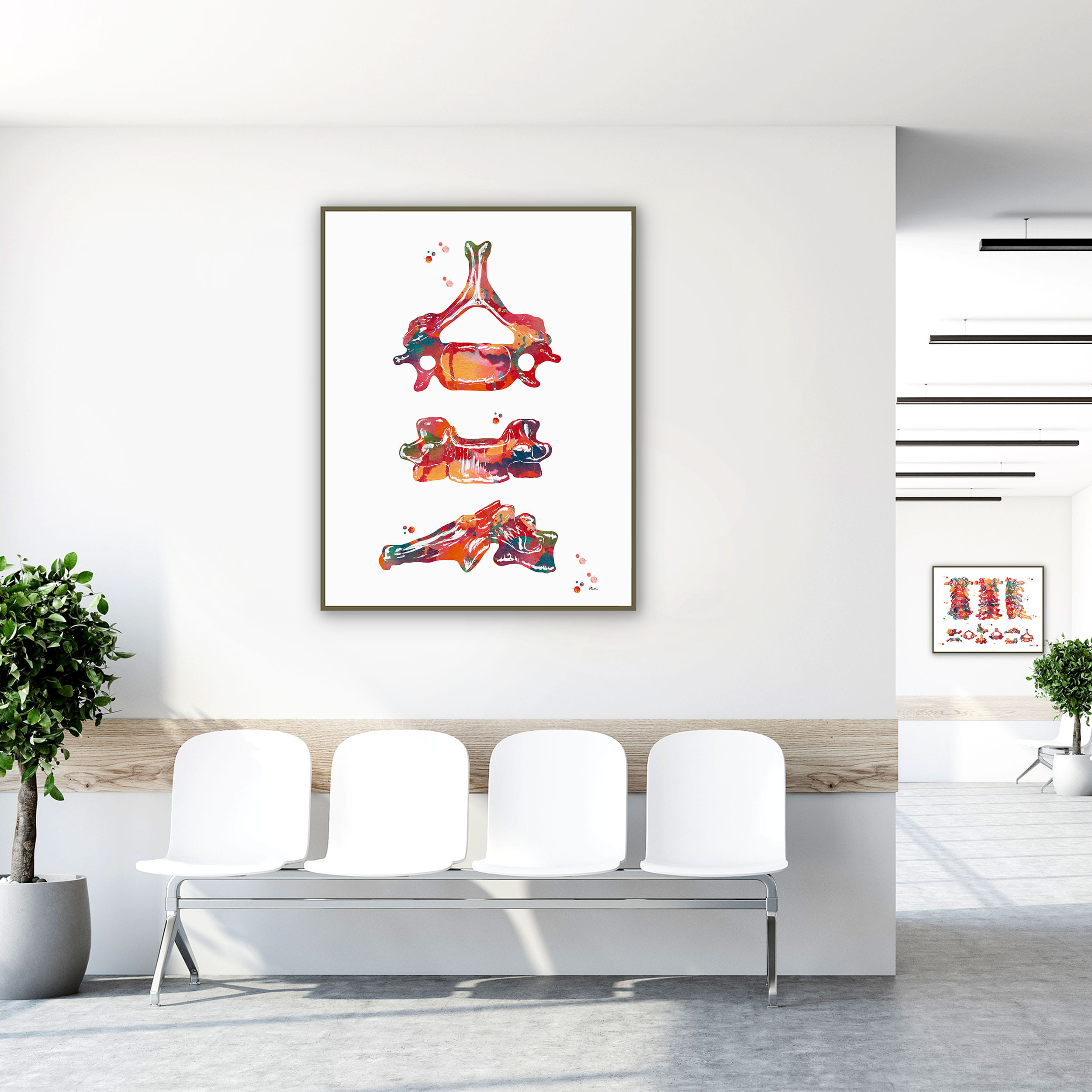 Framed c6 vertebra multi-view watercolor print in a clinic waiting room