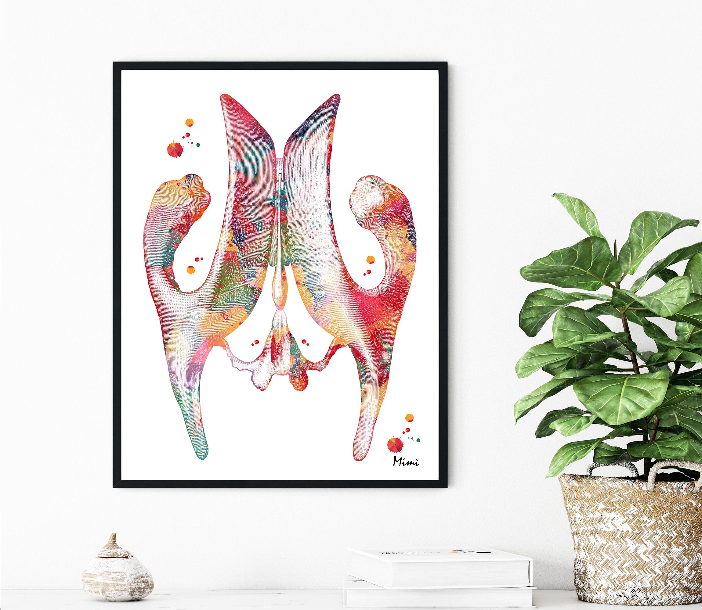 cerebral ventricle anatomy print image 3