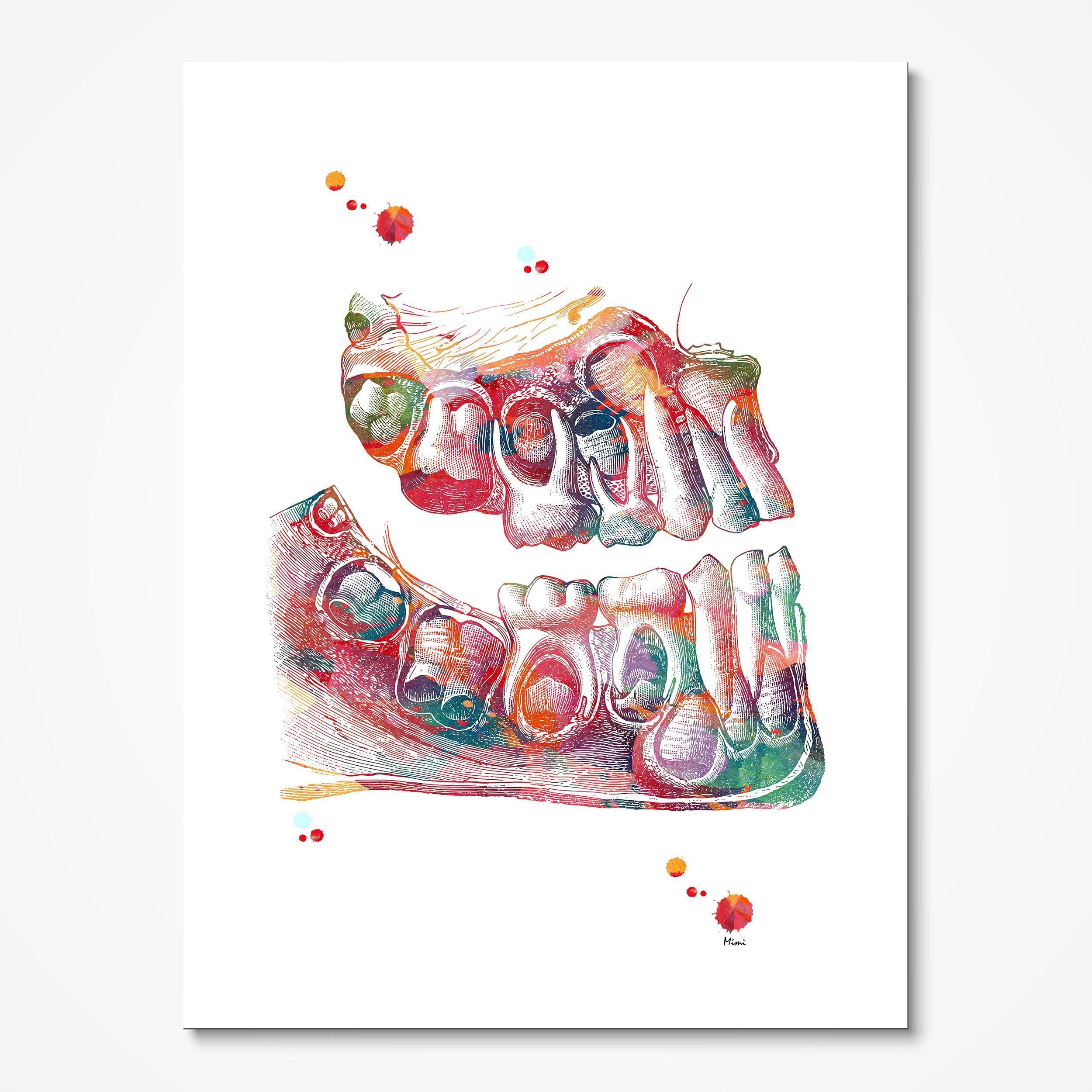 Children's teeth deciduous dentition watercolor art print for dental clinic wall decor