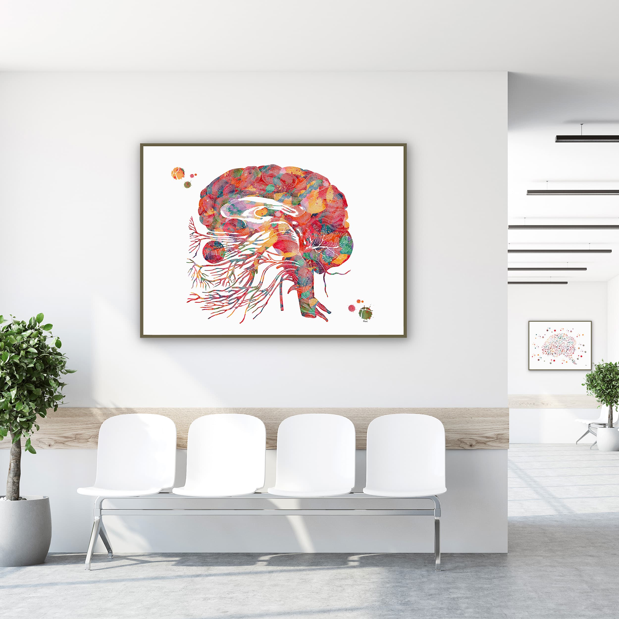 Framed cranial nerves & brainstem anatomy watercolor print in a clinic waiting room