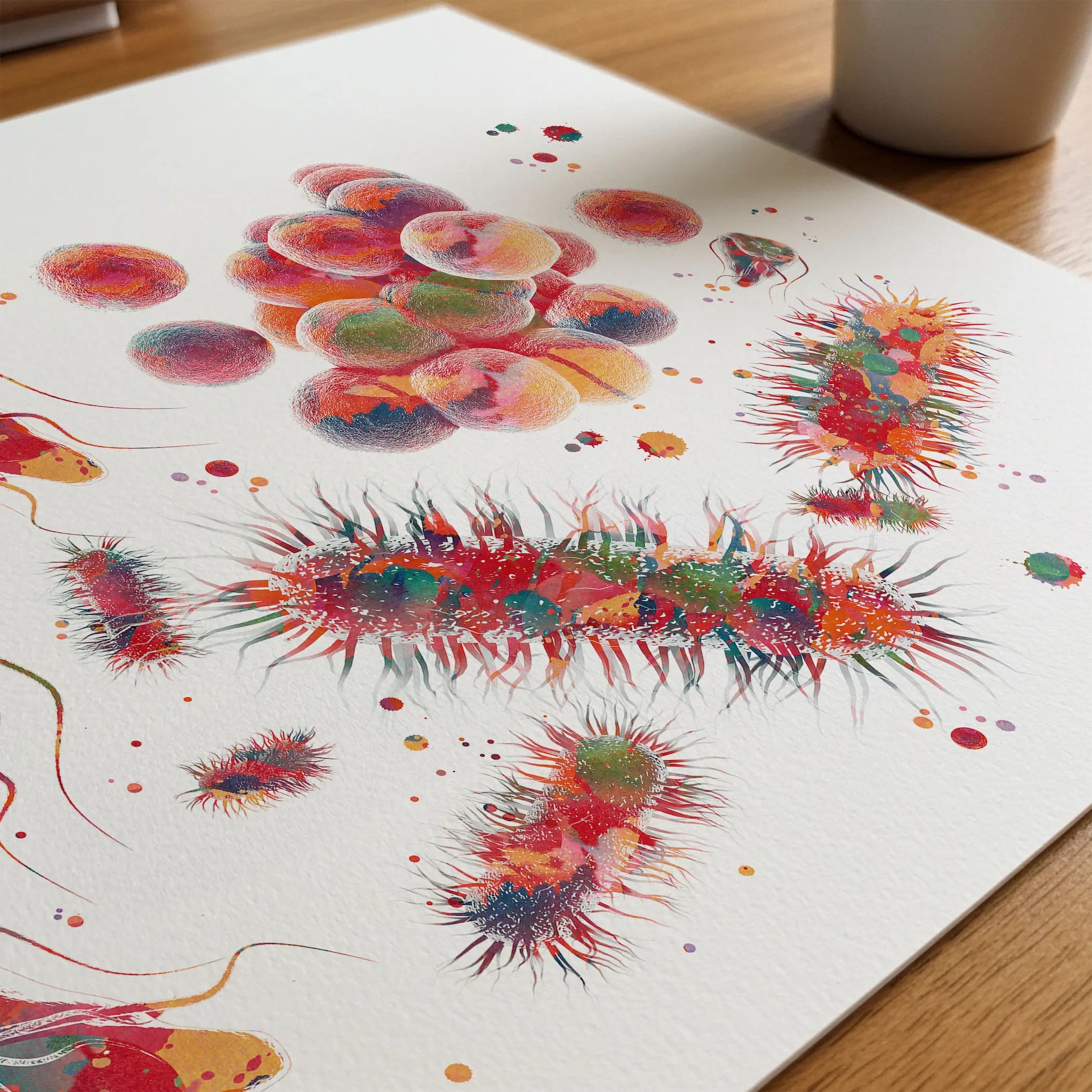 Close-up of cytology bacteria, fungi & parasites watercolor print showing paper texture and grain