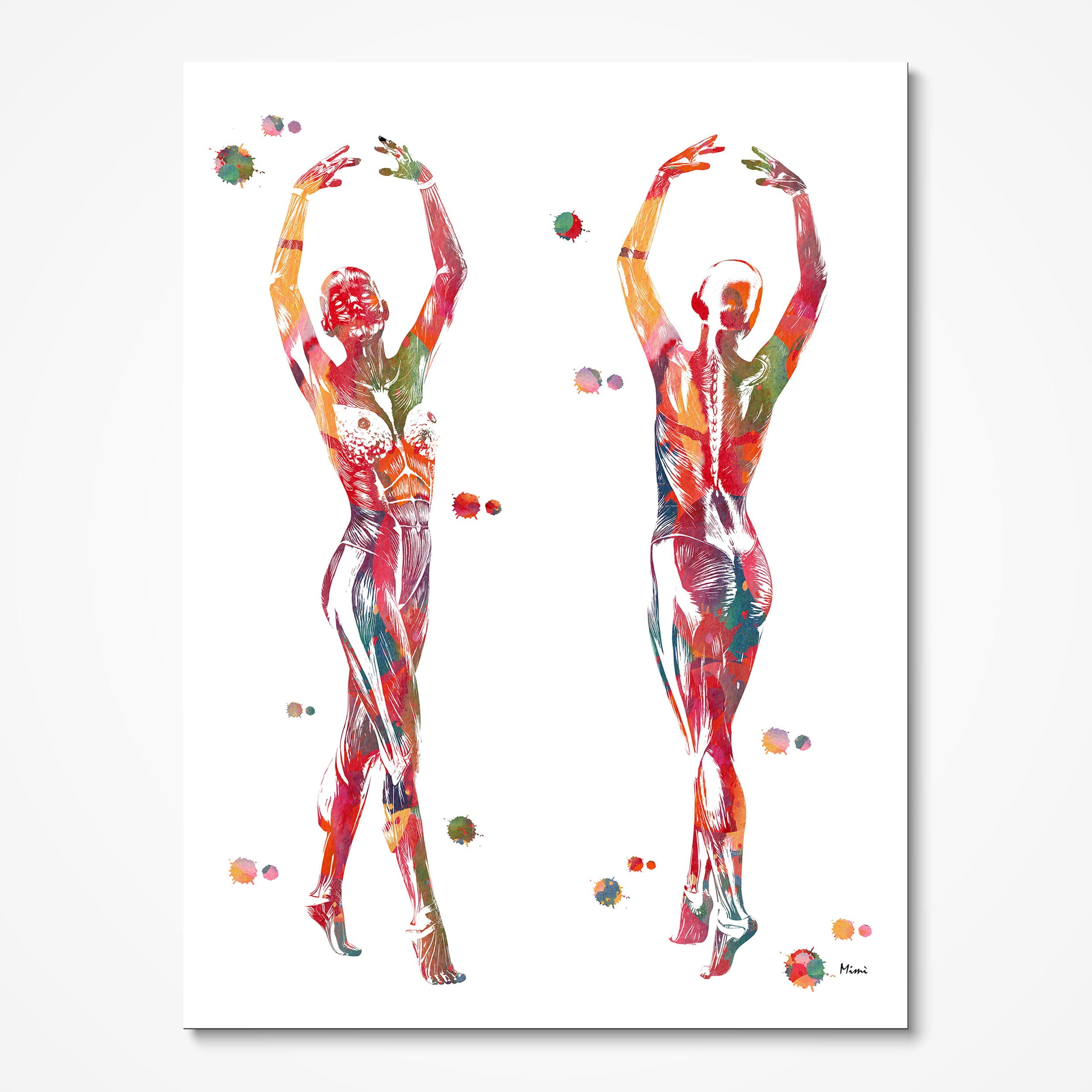 Dance anatomy, port de bras watercolor art print for dance studio wall decor