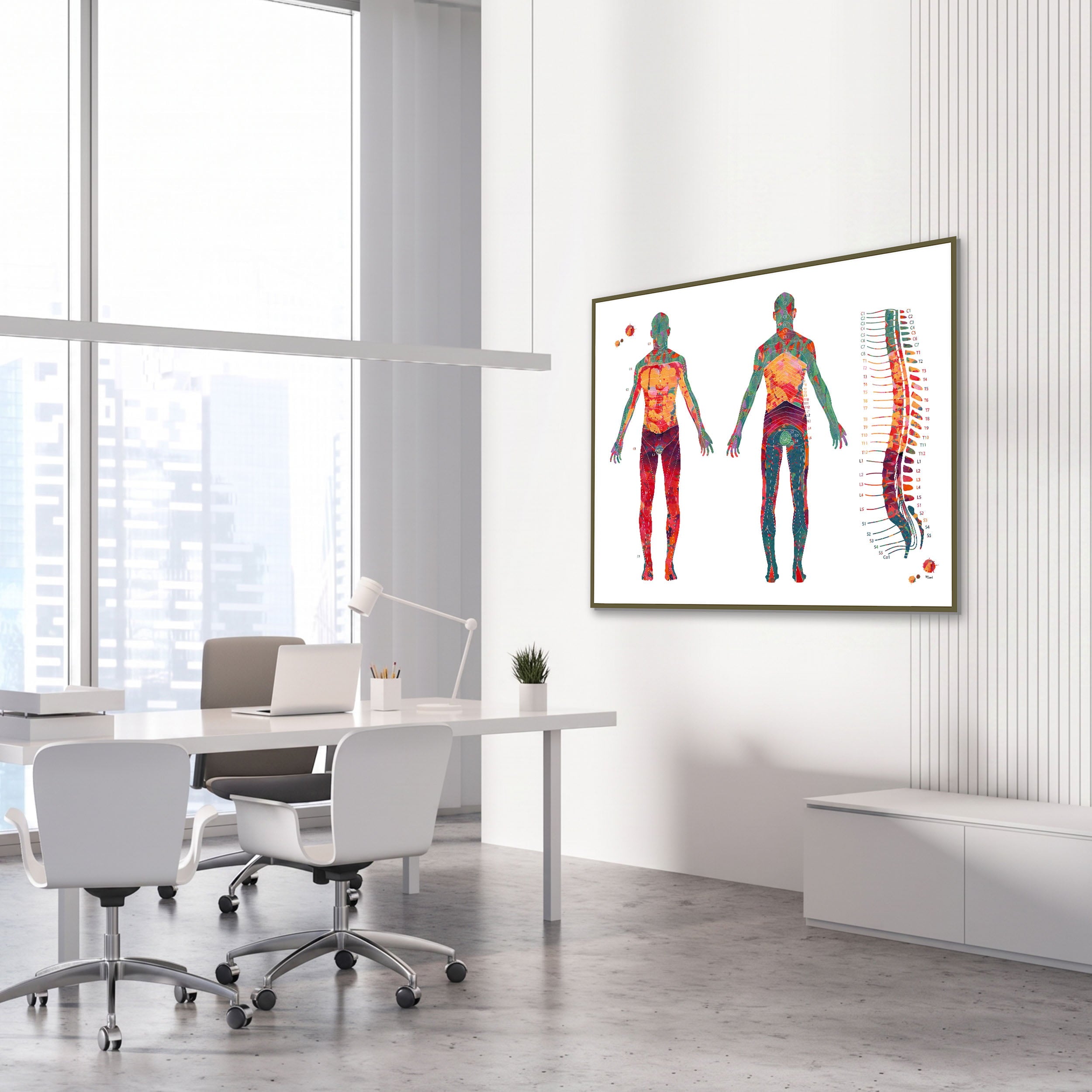 Framed dermatome map watercolor print in an orthopedic clinic