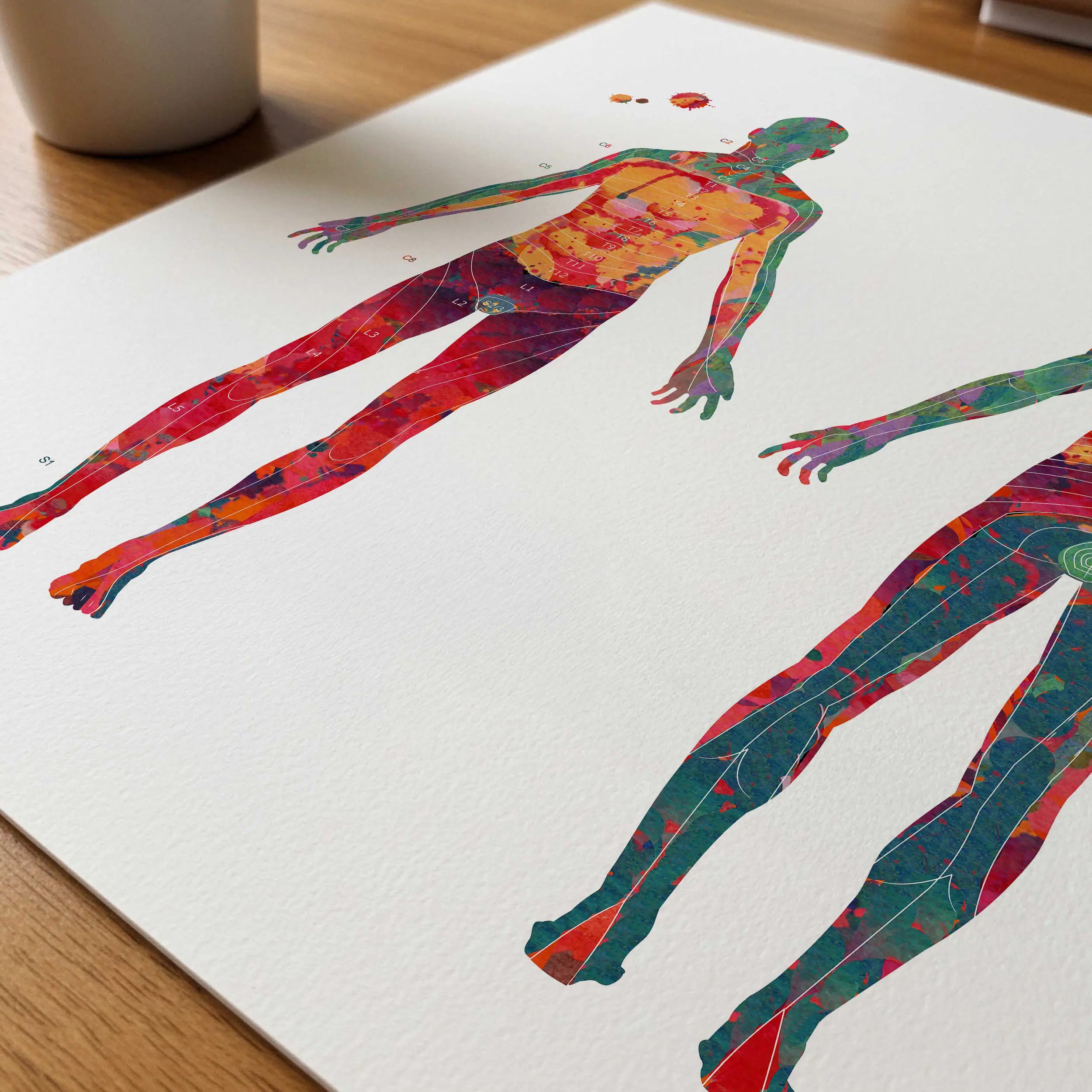 Close-up of dermatome map watercolor print showing paper texture and grain