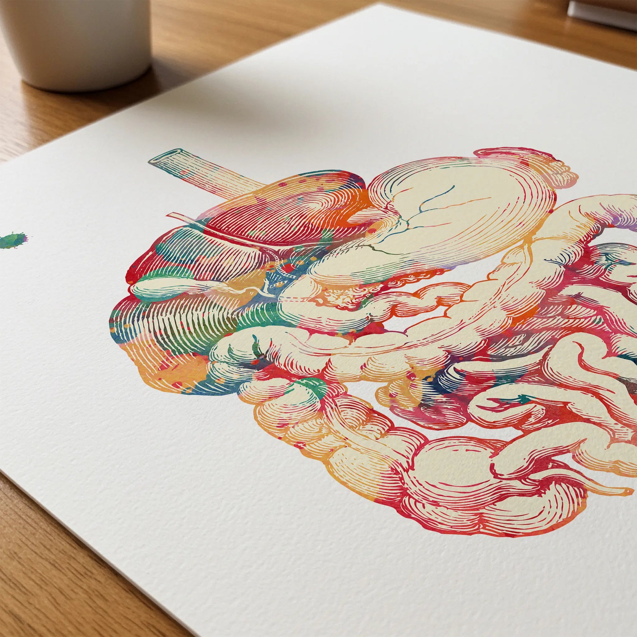 Close-up of digestive tract watercolor print showing paper texture and grain