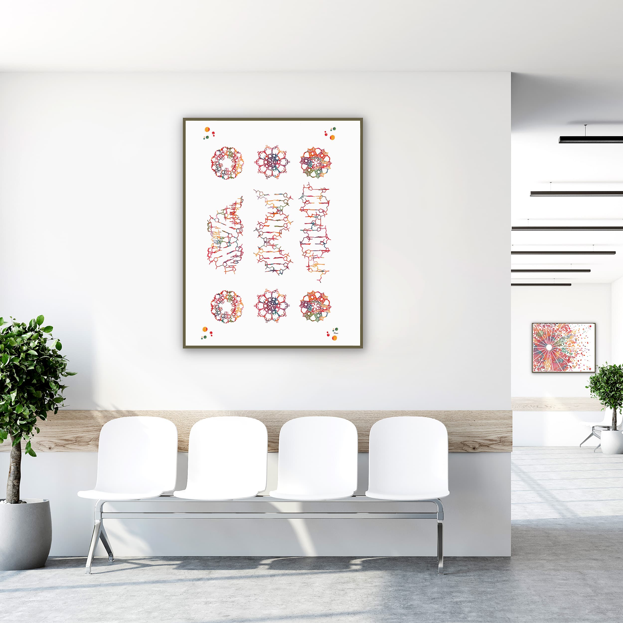 Framed dna a, b & z forms genetics watercolor print in a clinic waiting room
