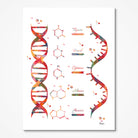 DNA and RNA Structure Genetics watercolor art print for genetics lab wall decor