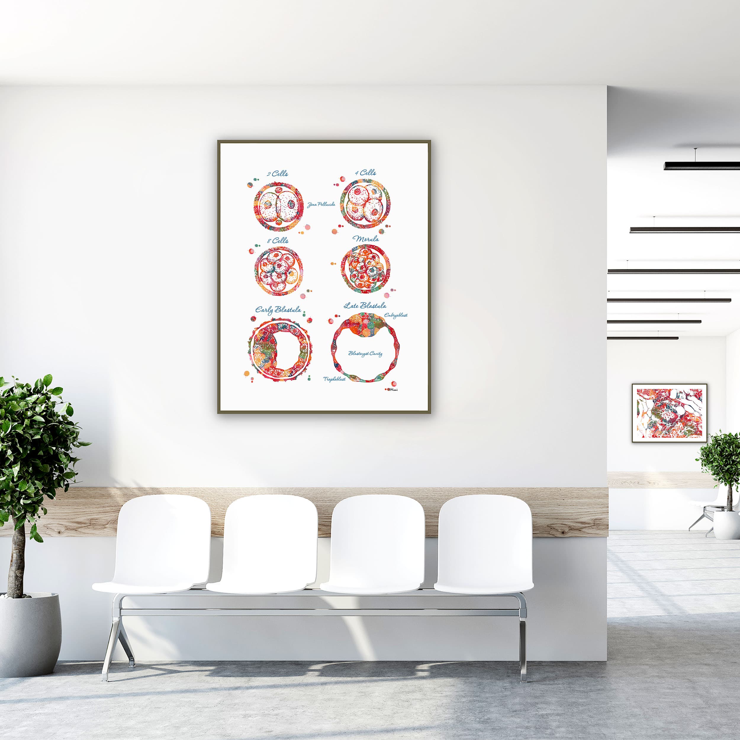 embryogenesis-and-ivf-clinic-waiting-room-mockup